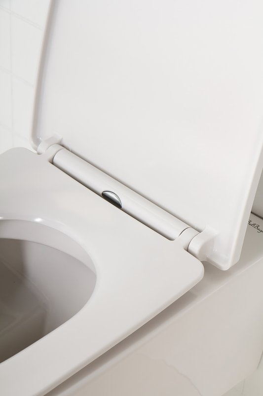 Крышка-сиденье BelBagno BB2031SC с микролифтом, петли хром