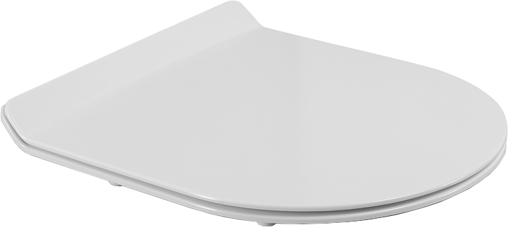 Унитаз-компакт напольный BelBagno Ancona BB1224CPR-P