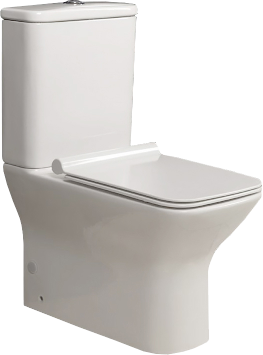 Унитаз-компакт напольный BelBagno Romano BB248CPR-P