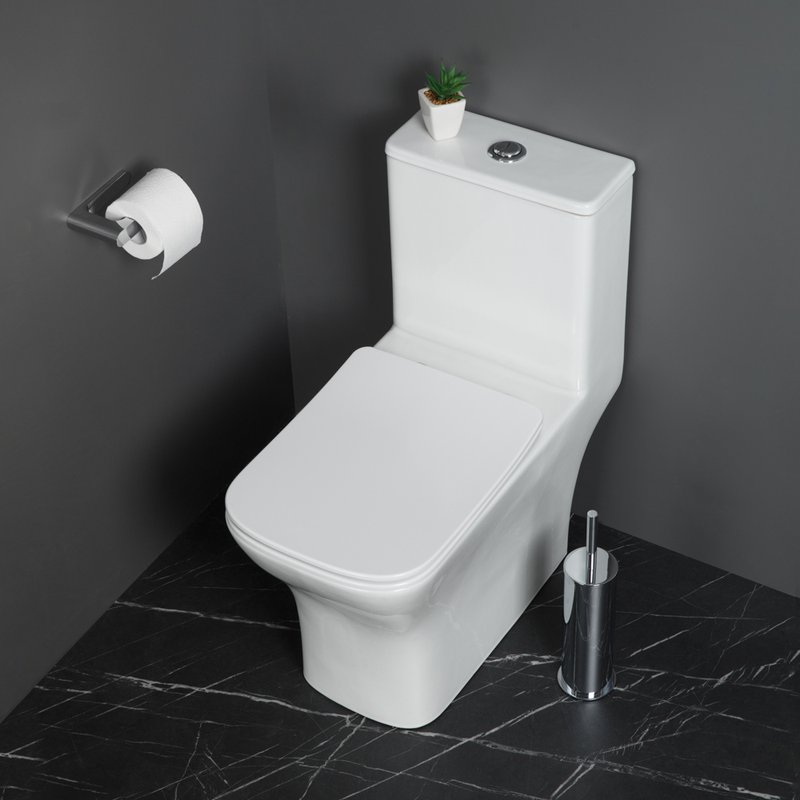 Унитаз-моноблок напольный BelBagno Neon BB8617CPR-MN/SC
