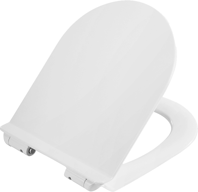 Унитаз-компакт напольный BelBagno Ancona BB1224CPR-P