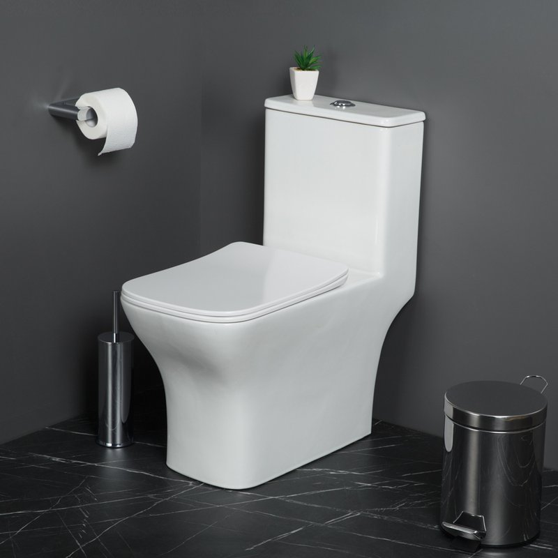 Унитаз-моноблок напольный BelBagno Neon BB8617CPR-MN/SC