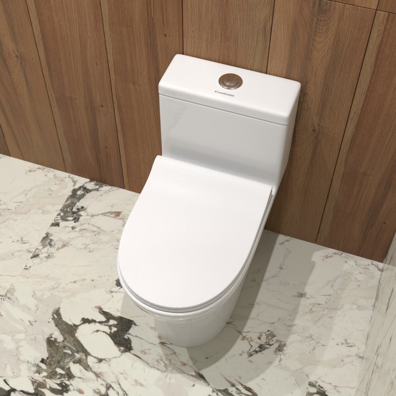 Унитаз-моноблок напольный EvaGold T1081 SM9610R