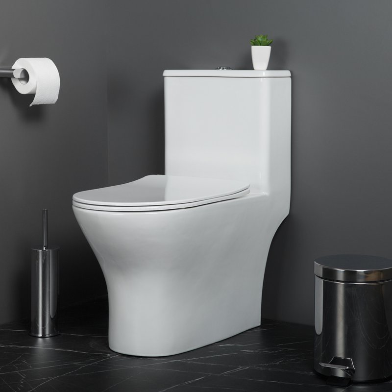 Унитаз-моноблок напольный BelBagno Lounge BB8618CPR-MN/SC