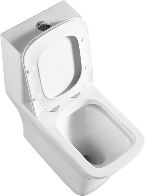 Унитаз-моноблок напольный BelBagno Neon BB8617CPR-MN/SC