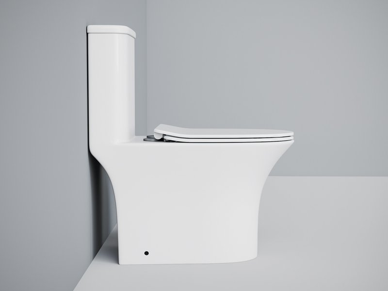Унитаз-моноблок напольный EvaGold SM9614