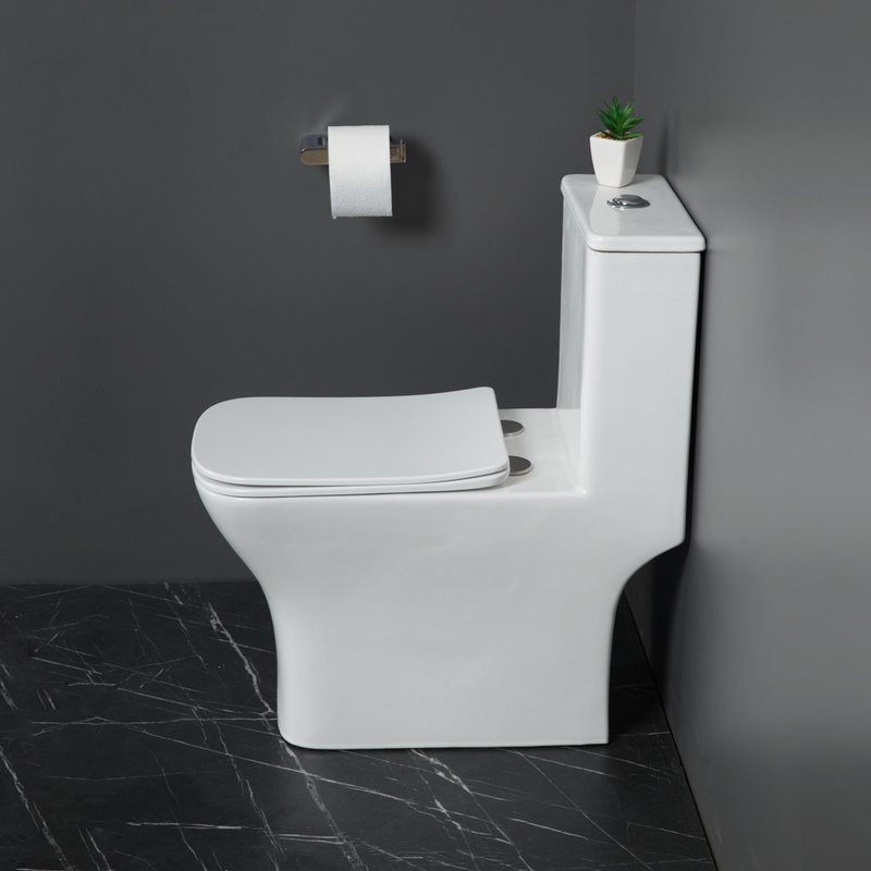 Унитаз-моноблок напольный BelBagno Neon BB8617CPR-MN/SC