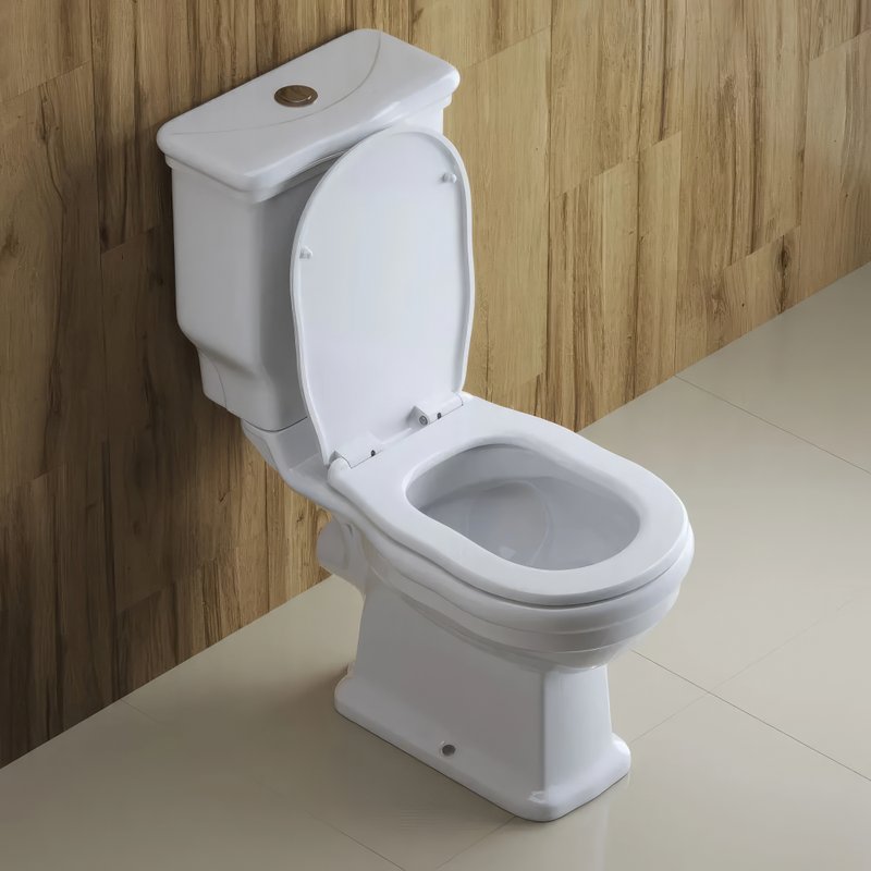 Унитаз-компакт напольный BelBagno Boheme BB115CPR
