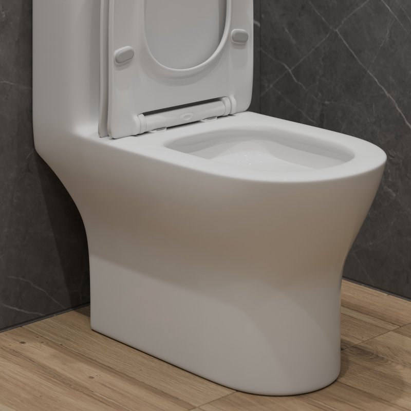 Унитаз-моноблок напольный EvaGold SM9618T