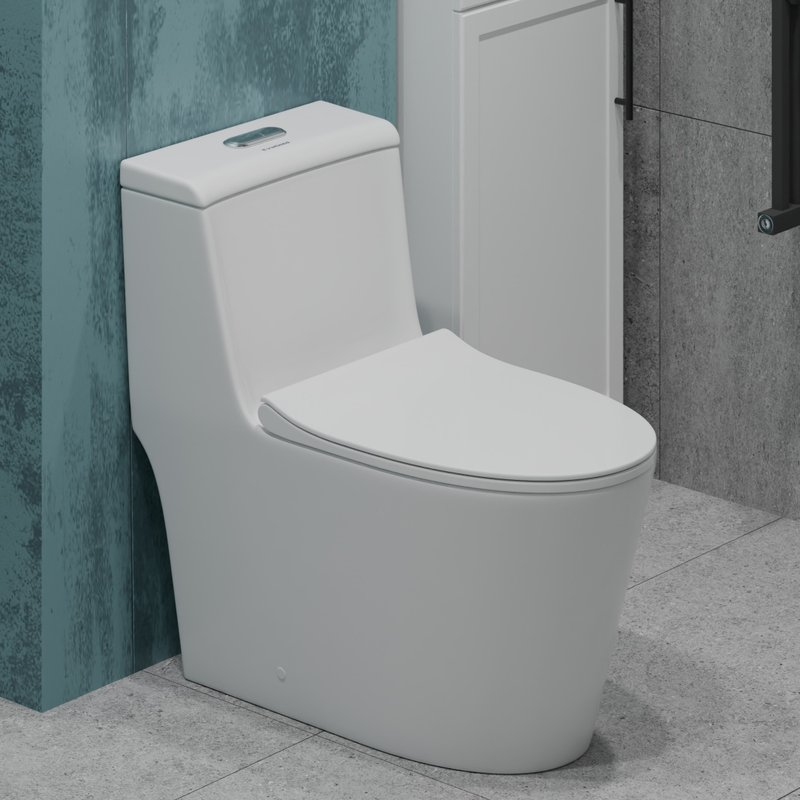 Унитаз-моноблок напольный EvaGold T1087