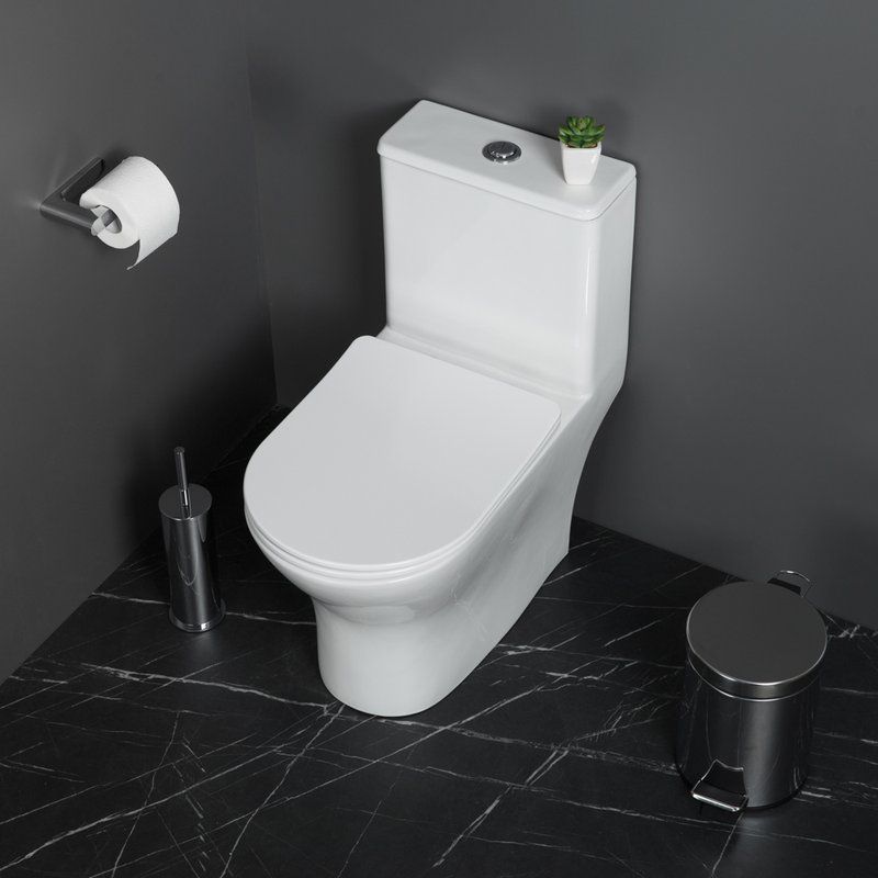 Унитаз-моноблок напольный BelBagno Lounge BB8618CPR-MN/SC