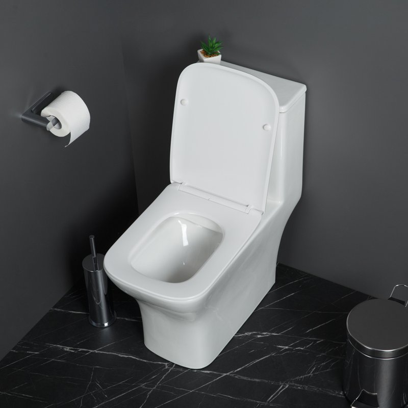 Унитаз-моноблок напольный BelBagno Neon BB8617CPR-MN/SC