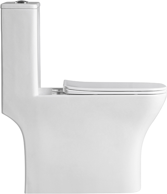Унитаз-моноблок напольный BelBagno Neon BB8617CPR-MN/SC