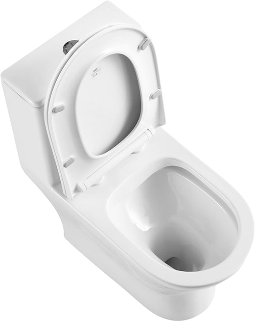 Унитаз-моноблок напольный BelBagno Lounge BB8618CPR-MN/SC