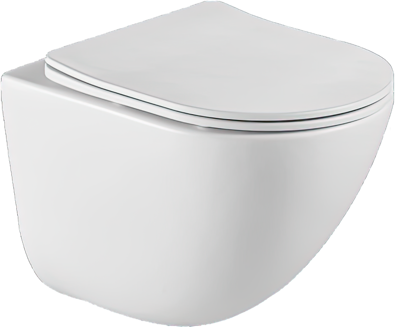 Чаша для унитаза подвесного BelBagno Amanda BB051CHR, безободковый
