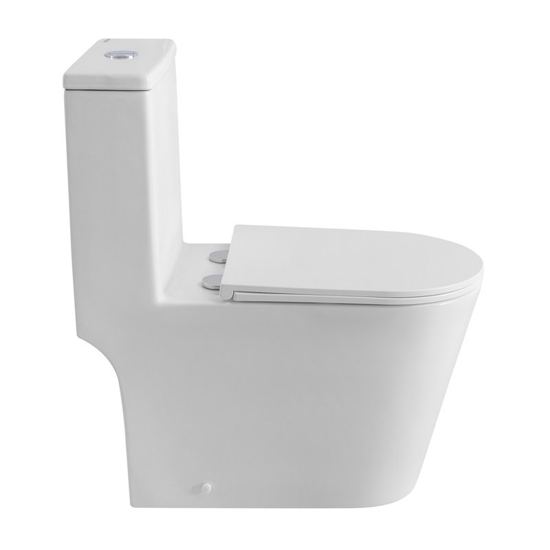 Унитаз-моноблок напольный BelBagno Tre BB673CP-MN-TOR/SC