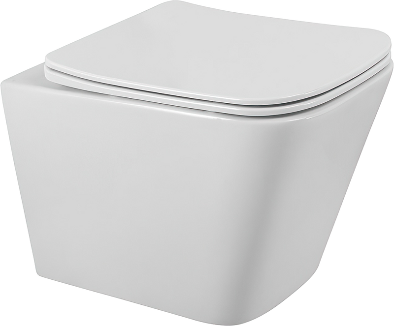 Крышка-сиденье BelBagno BB3103/3106SC с микролифтом