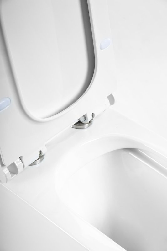 Крышка-сиденье BelBagno Romano BB2112SC, с микролифтом