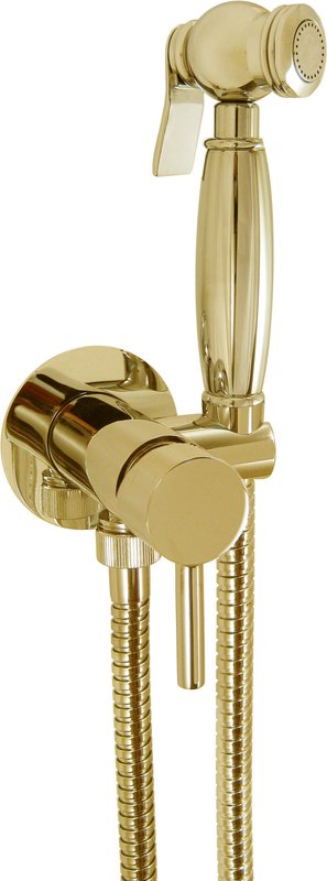 Гигиенический душ Nice Giulini Futuro FSH25/1531DOR, со смесителем, С ВНУТРЕННЕЙ ЧАСТЬЮ
