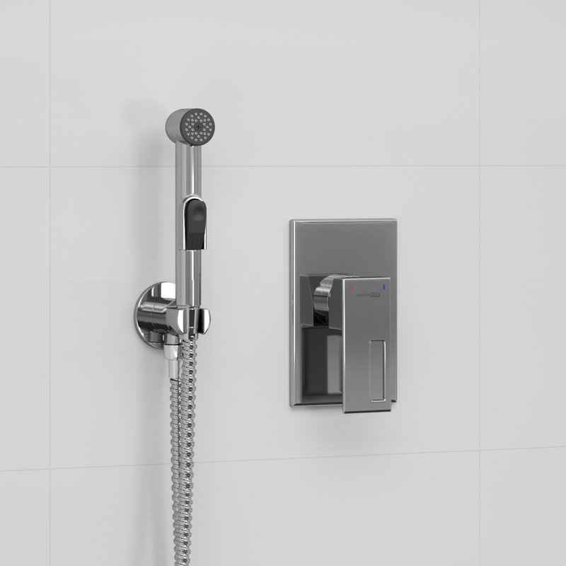 Гигиенический душ Wasserkraft A01556, шланг 100 см