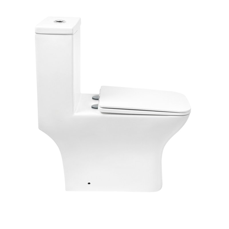 Унитаз-моноблок напольный Royce Smart RCT-133004WH безободковый, с микролифтом