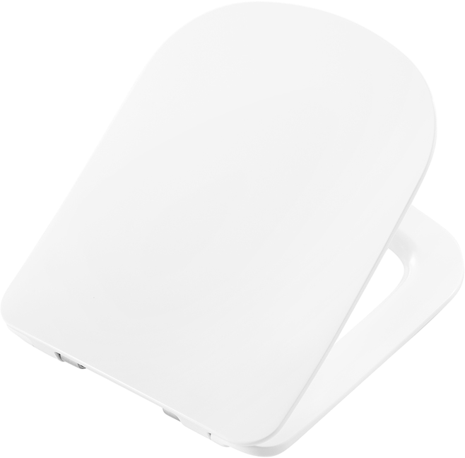 Крышка-сиденье BelBagno Prado BB10150SC с микролифтом, петли хром
