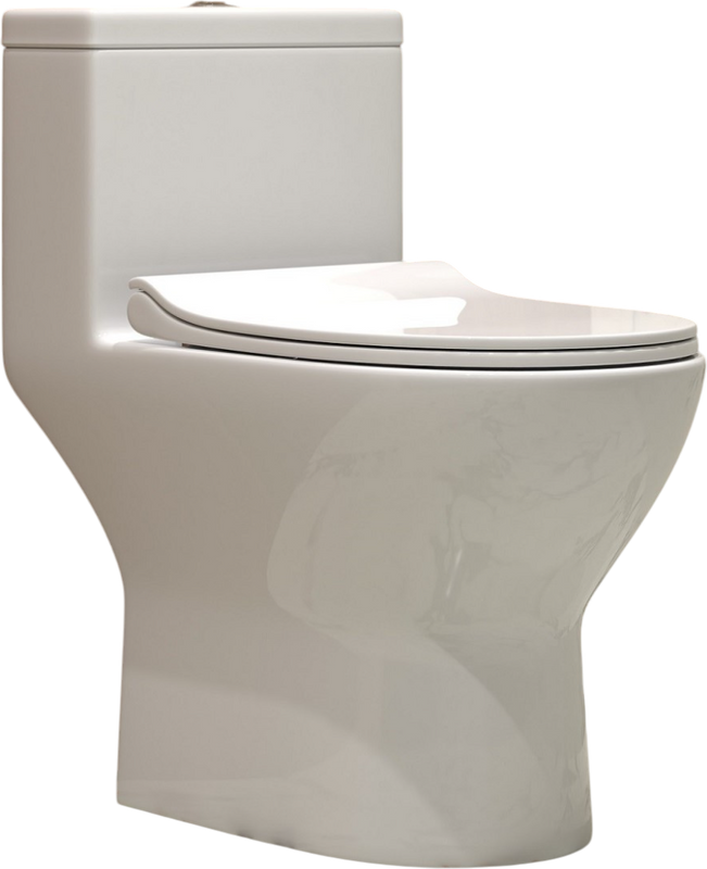 Унитаз-моноблок напольный EvaGold T1081 SM9610R