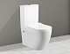 Унитаз-компакт напольный Ceruttispa Ortler CT9867