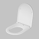 Крышка-сиденье AM.PM Inspire C507853WH с микролифтом