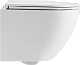 Унитаз подвесной EvaGold K505