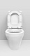 Унитаз-компакт напольный AM.PM Inspire C508607WH