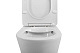 Унитаз-компакт напольный BelBagno Flay-r BB2149CPR/SC