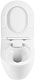 Унитаз подвесной BelBagno Loto BB070CHR/SC