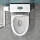 Унитаз-моноблок напольный EvaGold SM9609