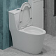 Унитаз-моноблок напольный EvaGold T1087