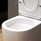 Унитаз подвесной EvaGold K401T