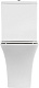 Унитаз-компакт напольный BelBagno Marmi BB052CPR