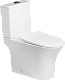 Унитаз-компакт напольный SantiLine SL-5022