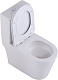 Унитаз-моноблок напольный SantiLine SL-5029, белый, микролифт