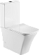 Унитаз-компакт напольный BelBagno Marmi BB052CPR