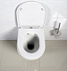 Крышка-сиденье BelBagno BB2031SC с микролифтом, петли хром