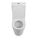 Унитаз-компакт напольный BelBagno Flay-r BB2149CPR/SC