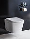 Крышка-сиденье BelBagno Albano BB120SC с микролифтом