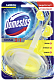 Туалетный блок для унитаза Domestos, лимон 40 г подвеска