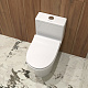 Унитаз-моноблок напольный EvaGold T1081 SM9610R