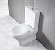 Унитаз-компакт напольный BelBagno Acqua BB340CPR