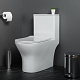 Унитаз-моноблок напольный BelBagno Lounge BB8618CPR-MN/SC