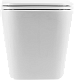 Крышка-сиденье BelBagno BB2322SC с микролифтом