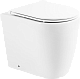 Крышка-сиденье BelBagno BB870SC, с микролифтом
