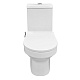 Унитаз-моноблок Azario Brusco AZ-1085B